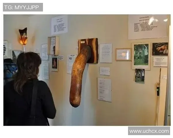 足球明星丁丁的女朋友是谁揭秘他们的爱情故事与甜蜜瞬间 足球明星丁丁的女朋友是谁揭秘他们的爱情故事与甜蜜瞬间